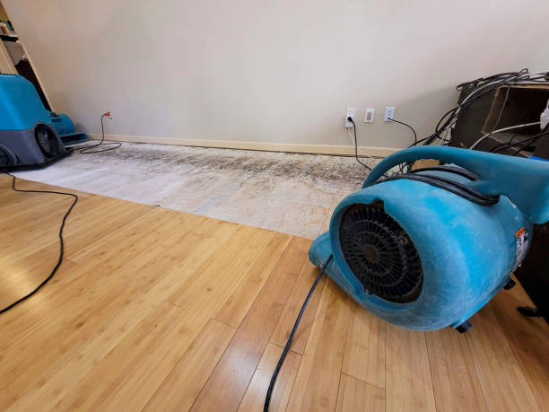 Professional Sewage Cleanup technician working in Southgate, MI
